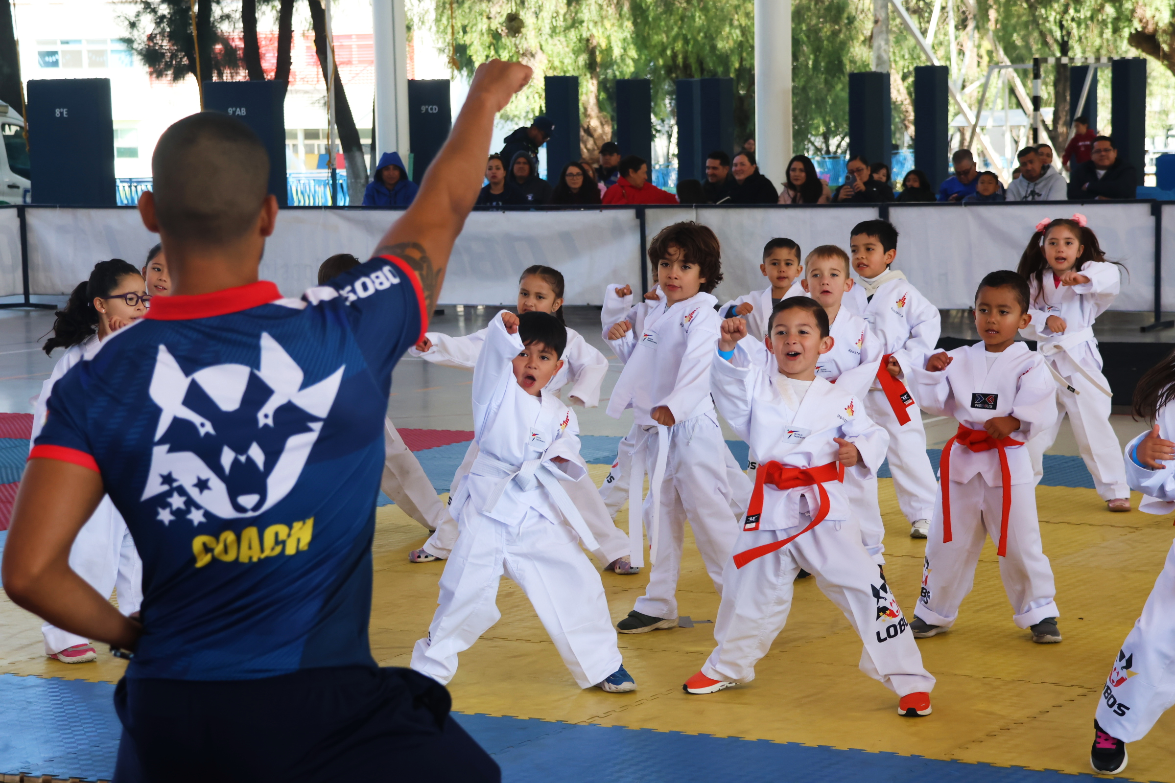 Deportes